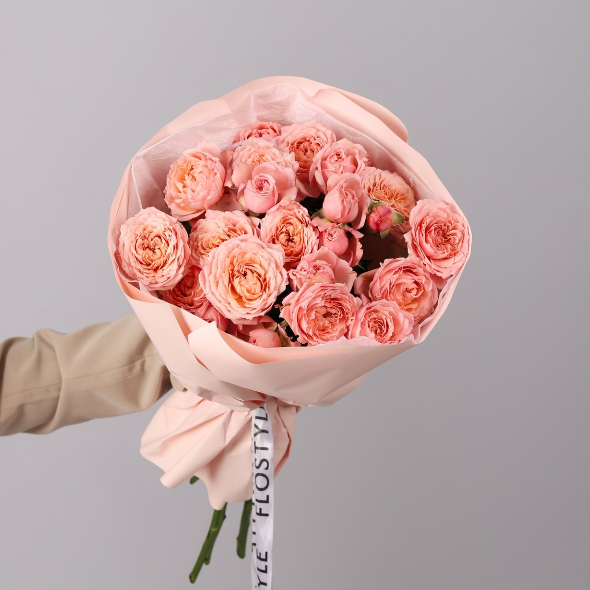 kustovaya roza pionovidnaya 6